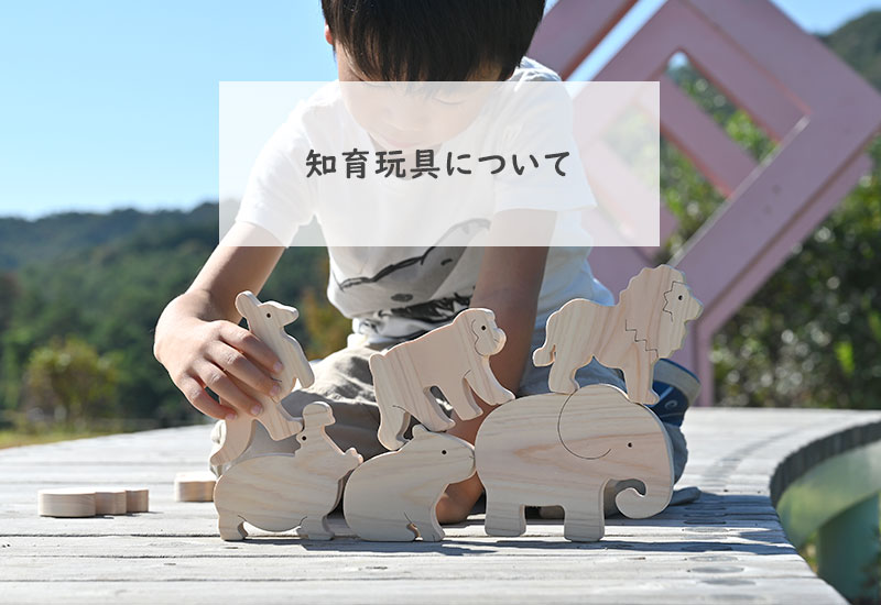 知育玩具について