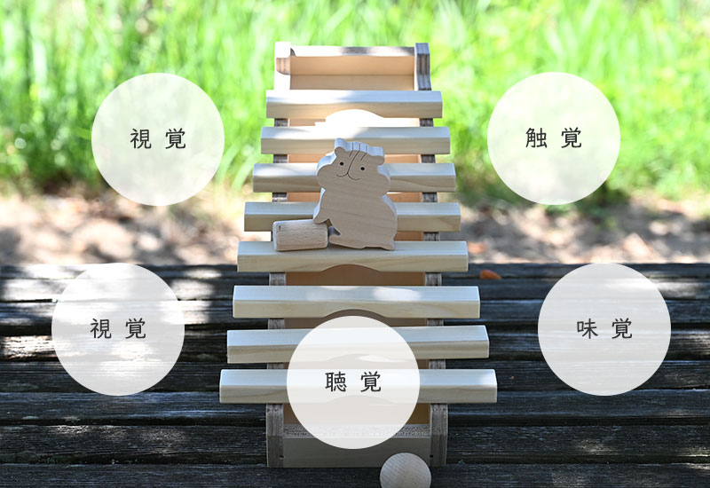 木のおもちゃと五感の関係性