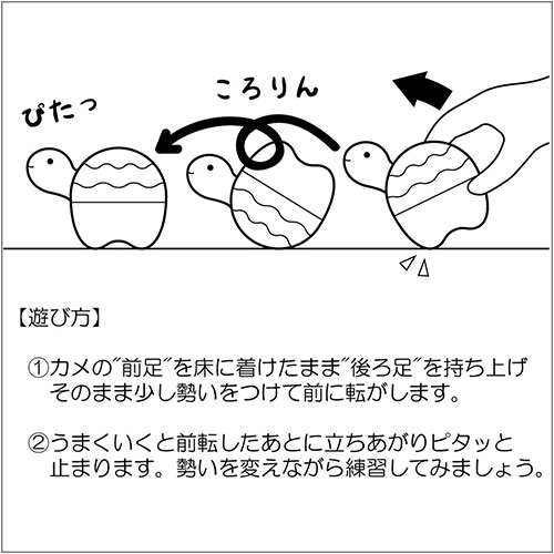 カメのふりころり