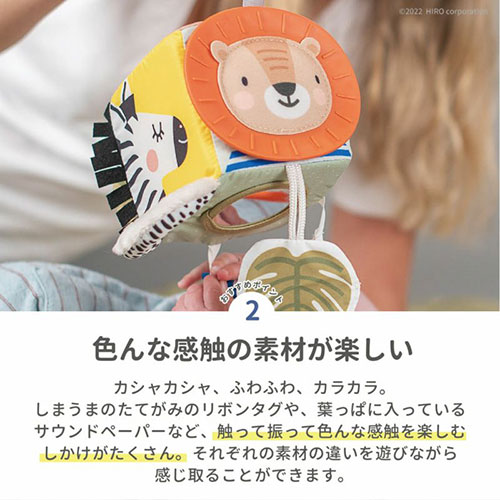 サバンナのソフトキューブラトル