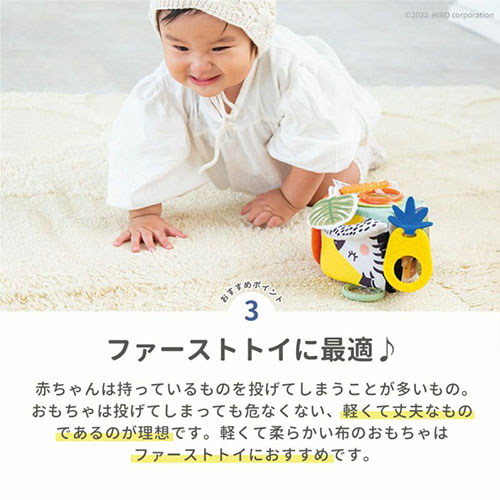 サバンナのソフトキューブラトル