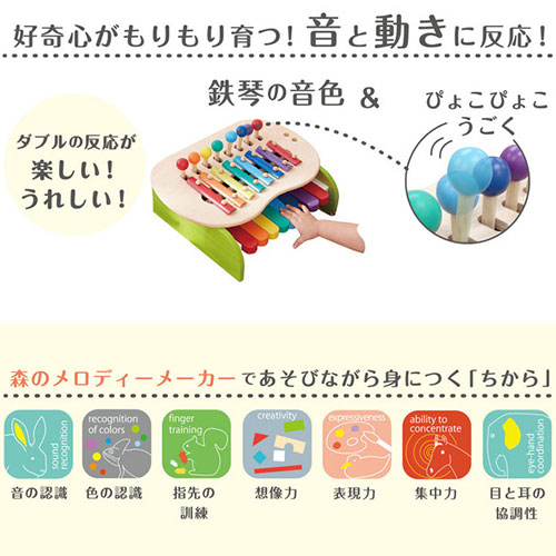森のメロディーメーカー／エドインター