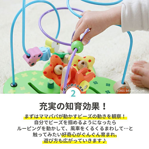 おさんぽくまさん／エドインター