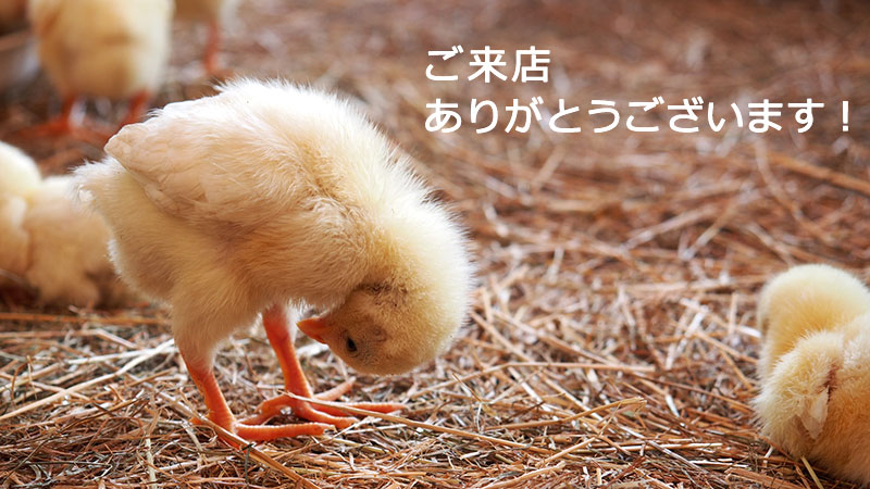 KURABOKKOへようこそ！