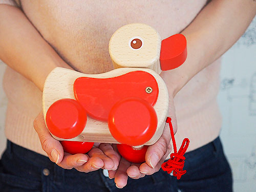 白木のあひる/NIC