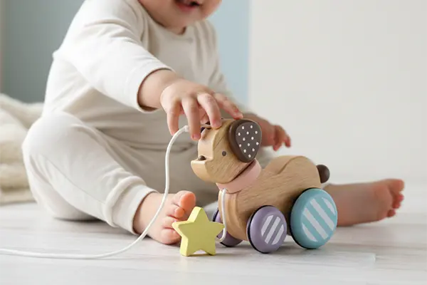 1歳向け 木のおもちゃ 積み木