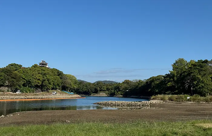 朝の散歩