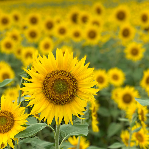8月31日