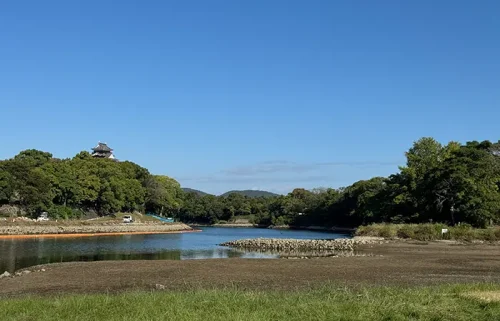 朝の散歩