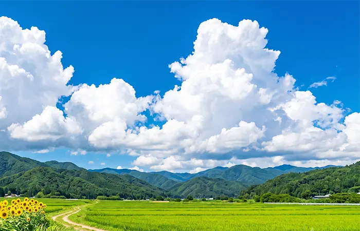 梅雨明け
